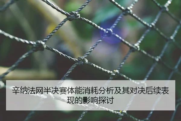 辛纳法网半决赛体能消耗分析及其对决后续表现的影响探讨